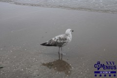 IMG_3215