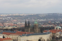 Logo-8129