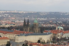 Logo-8130